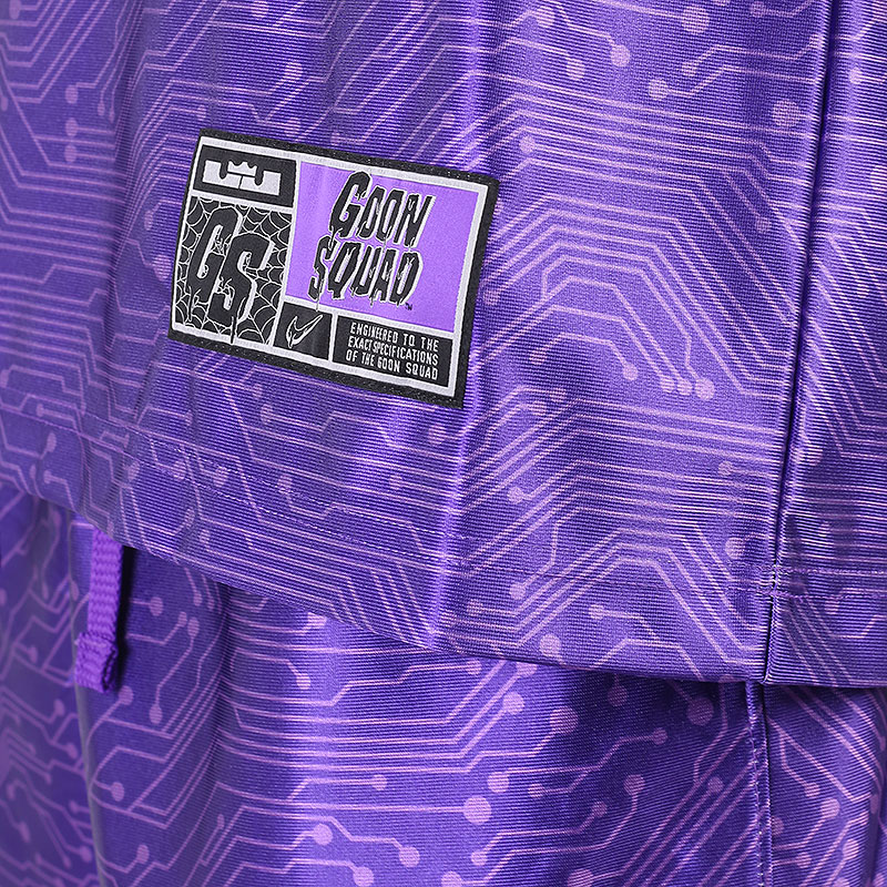 мужская фиолетовая майка Nike LeBron x Space Jam: A New Legacy `Goon Squad` Jersey DJ3872-560 - цена, описание, фото 4